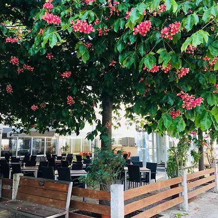 Hotell Cinar Hirsch & Restaurant Aystetten
